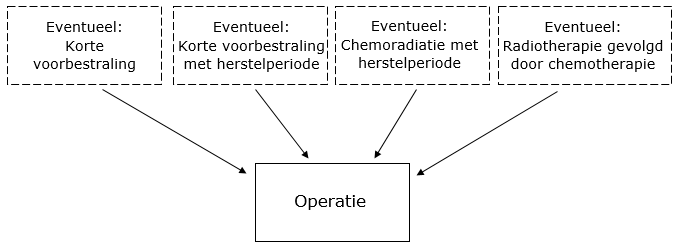 De darmen: dunne darm en dikke darm - Slingeland Ziekenhuis